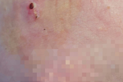 0-02-05-9c273ee8d20d0891834d5ef27207c582c60bc6925729c03b6db0f3200ee3a950_790ebfbb63447ae8