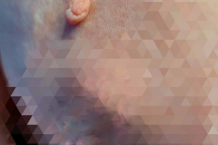 0-02-05-f17c9488c4e65ef06a767275ed2554f55aeeb40652bcc9695835c614901e025c_a3b861641272c129