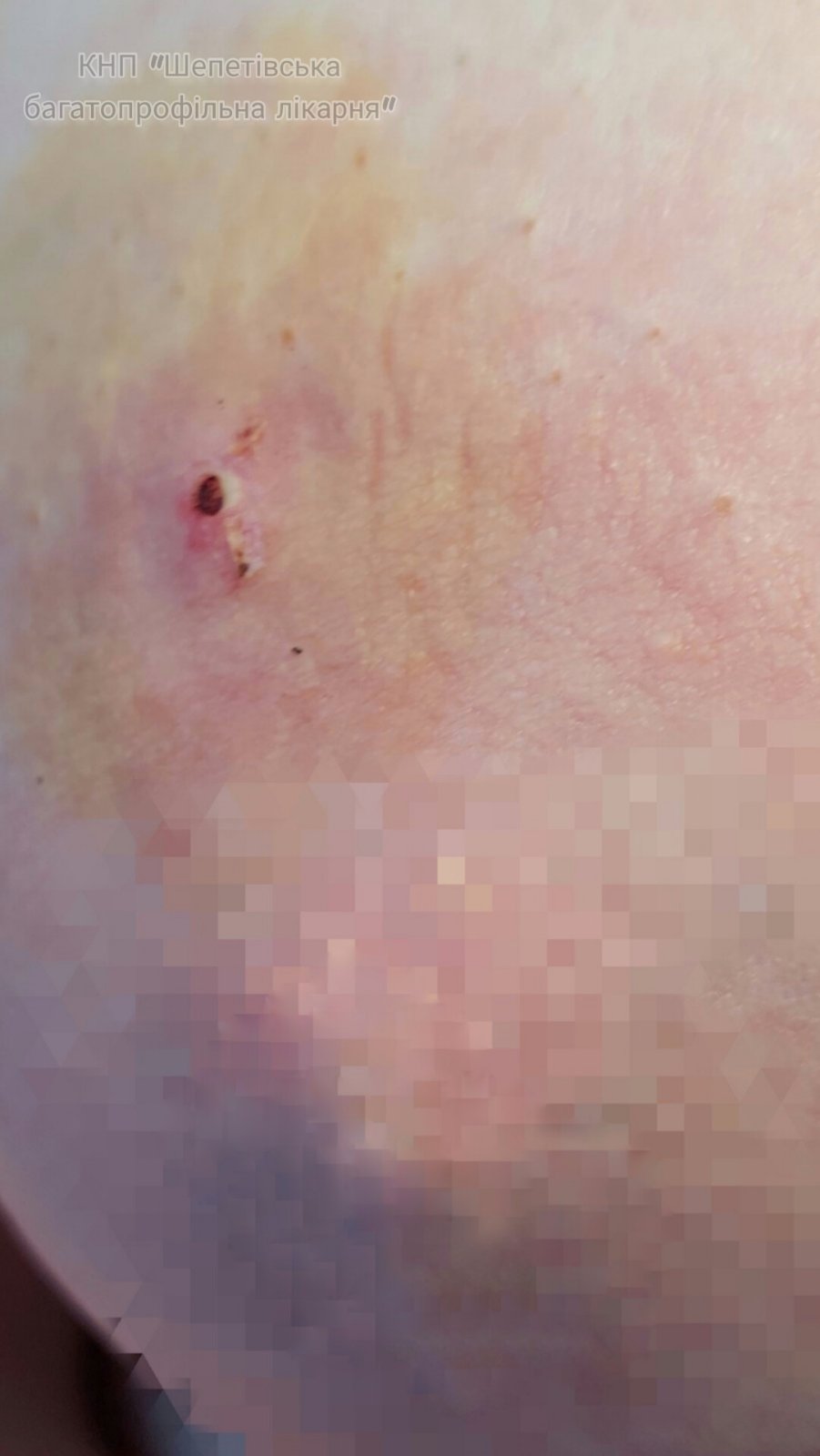 0-02-05-9c273ee8d20d0891834d5ef27207c582c60bc6925729c03b6db0f3200ee3a950_790ebfbb63447ae8