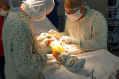 зображення_viber_2023-10-15_14-11-07-750