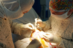 зображення_viber_2023-10-15_14-24-17-934