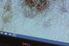 0-02-05-bca2a1e9b4b6c9dc6965d2a6c324c787be70e818e20d56e6e285cd4cf28567d8_4784faf6a6388f57