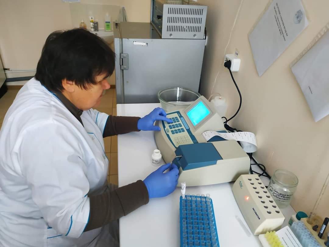 272267015_229934069342117_7113194964005896870_n