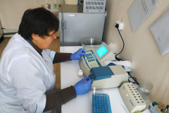 272267015_229934069342117_7113194964005896870_n